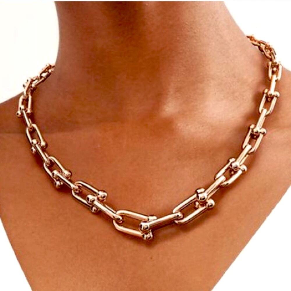 Rose Gold Hardware Graduated Link U Necklace